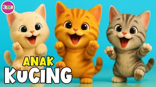 Download lagu ANAK KUCING MEONG MEONG - Lagu Anak Anak - Lagu Anak & Balita Sangat Populer Viral mp3 Download lagu ANAK KUCING MEONG MEONG - Lagu Anak Anak - Lagu Anak & Balita Sangat Populer Viral mp3