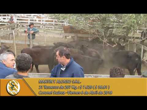 06-04-18 Venta de Machos - Martin y Alonso S.R.L. - Coronel Suárez