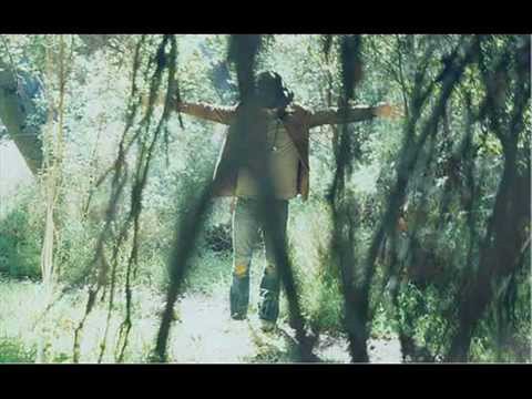 Chris Robinson and The New Earth Mud - ...If you see California