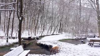 preview picture of video 'Wandern Franken: Puderzucker- Schnee bei Egloffstein, Kreis Forchheim'