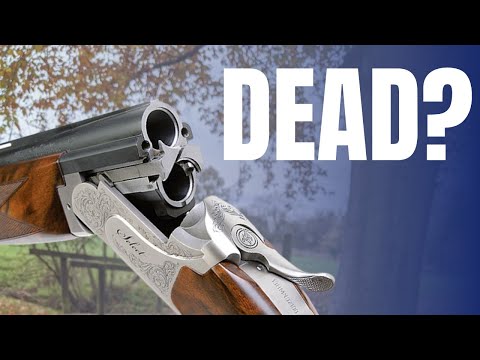 Best $200 22LR? Winchester Wildcat .22 Rifle Review