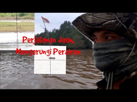 Berburu Belibis Tambak