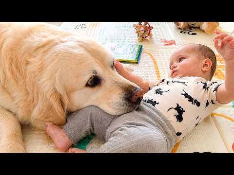 YouTube 썸네일