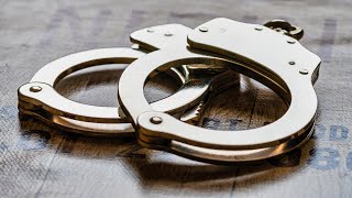 14 arrested in DeKalb County crime ring