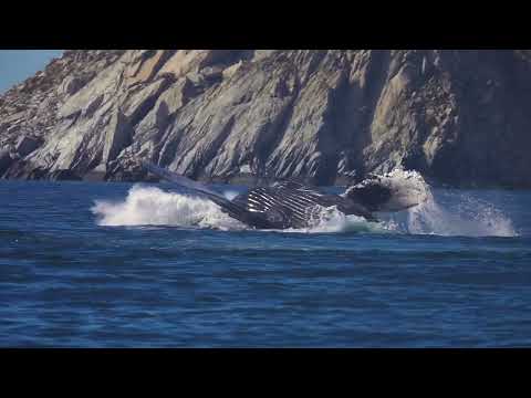 V7N PRODUCTION HOUSE  HD 1080p