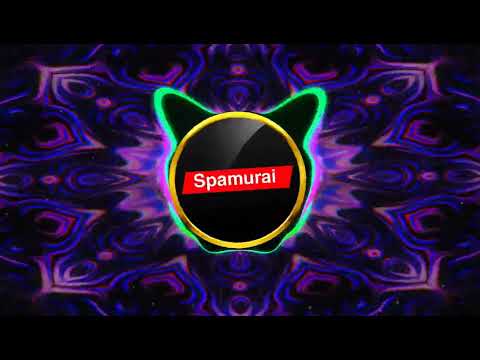 SPAMURAI - SPACE PICNIC