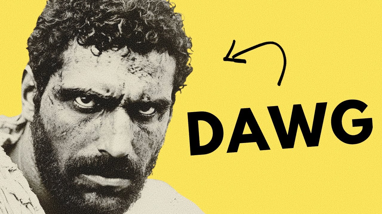 Finally An Honest Video About Hannibal Barca | History Explained