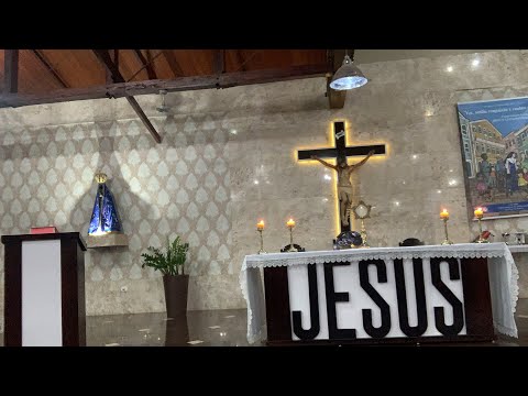 Santa Missa (01/11/2011)