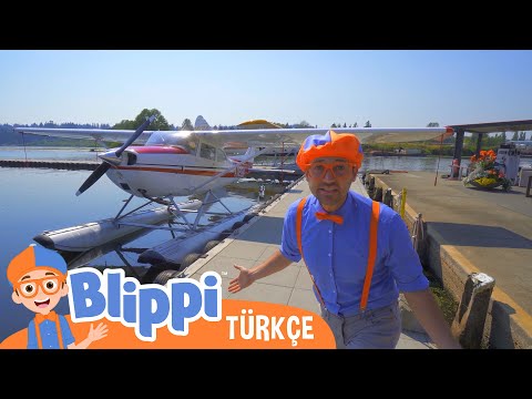 Blippi Deniz Uçağı Keşfediyor | Blippi Türkçe - Çocuklar için eğitici videolar | Türkçe Dublajlı