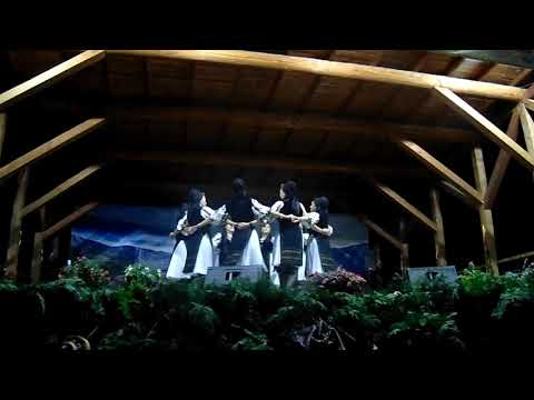 Ansamblul de Călușeri din Rășinari.Festivalul ,,Brânzei și Țuicii "2021