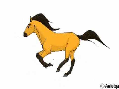 BOBMarleykrolreggae’s Video 44766454028 D_MdWoQHczU