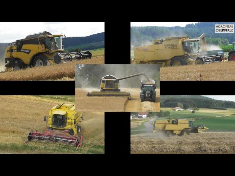 Dreschen nonstop - 5 Mähdrescher - 1 Lohnunternehmen -  Die New Holland Flotte in Action -LU Bücherl