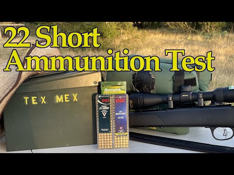 22 Short Ammunition Test