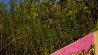 Spraynard - Cut And Paste LP