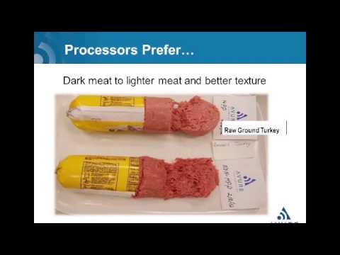 HPP Raw Protein Webinar