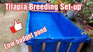 tilapia breeding set-up