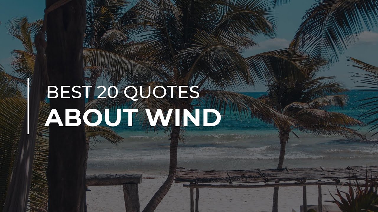 Best 20 Quotes about Wind | Daily Quotes | Quotes for the Day | Quotes for the Day