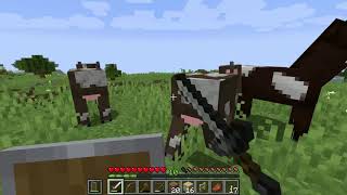 【Minecraft】ちゃんけいのマインクラフト日記 3日目 1日ってあっという間だね！