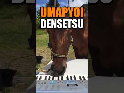 This Horse Is Playing Uma Musume 🎹🐎