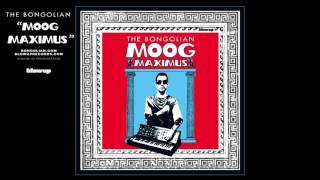 The Bongolian 'Moog Maximus' - album teaser (Blow Up)