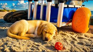 Griffin's First Surf Fishing Trip - NC Surf Fishing
