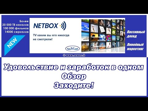 Netbox - Удовольствие и заработок в одном. Обзор. Заходите!, 2022-06-15