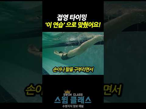 접영 타이밍 맞추고 싶다면 ‘이 연습’부터 하세요! #swimming #접영 #수영초보