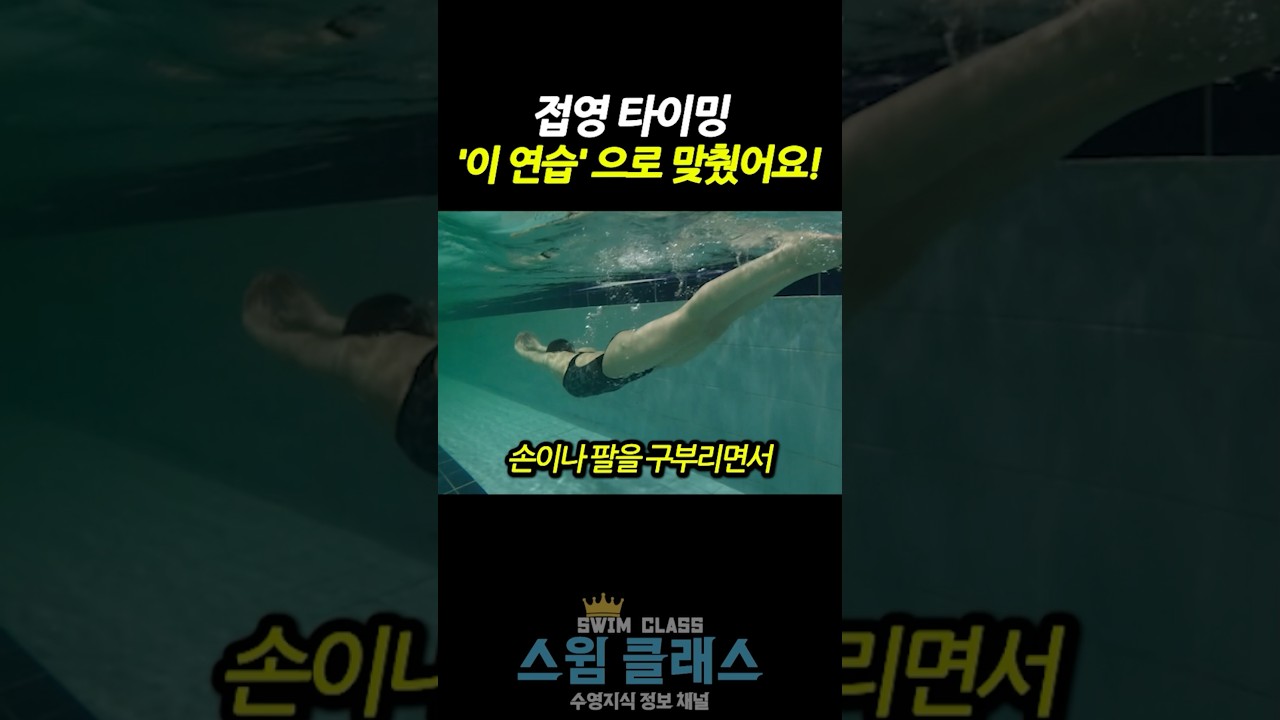 접영 타이밍 맞추고 싶다면 ‘이 연습’부터 하세요! #swimming #접영 #수영초보
