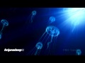 Anjunadeep 02: Official Promo Video 
