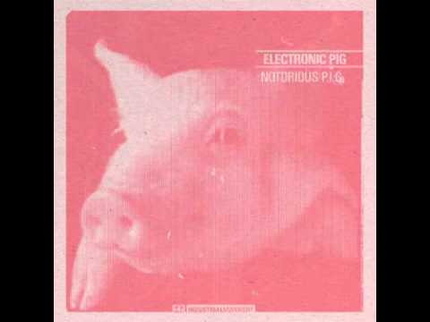 Electronic pig - Electronic pig
