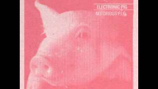 Electronic pig - Electronic pig