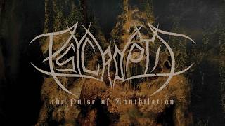 Download lagu Psycroptic - The Pulse of Annihilation (FULL ALBUM) mp3