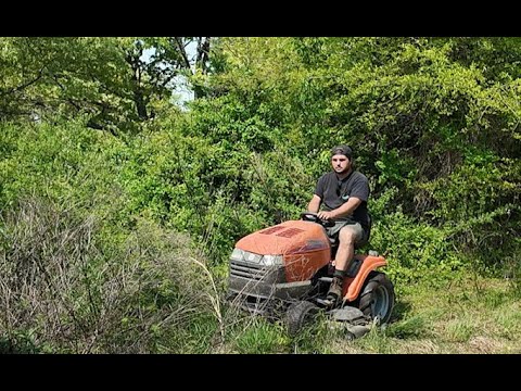 Can a Junk Lawn Mower Survive as a Bush Hog?