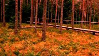 Celestial Season - Vienna