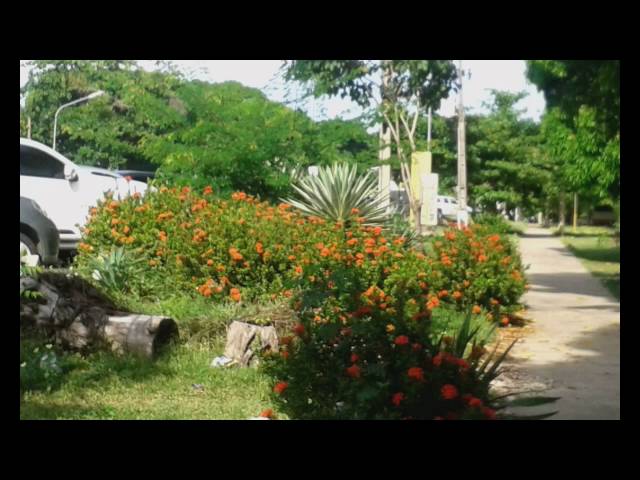 Federal University of Piauí (UFPI) video #1