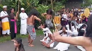 Download lagu MENYALA 🔥🔥🔥 FRAGMEN TARI SANG JOGOR MANIK AMIDANDA / SAMBUT NYEPI TAHUN SAKA 1946 mp3