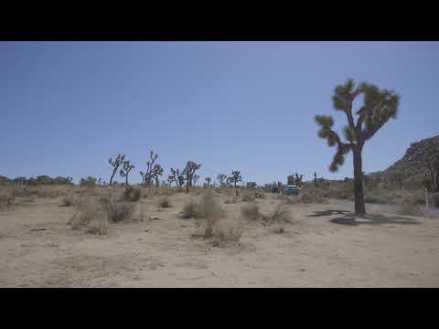 Desert Oasis | Prime Location in Twentynine Palms - Yucca Valley