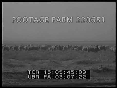 Texas Dust Storms, 1936 | 220651-02 | Footage Farm Ltd