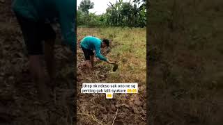 Download lagu 5 Agustus 2025 mp3