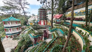 Beautiful Flowers Bell Church Km3 Boundary Baguio City and La Trinidad Benguet