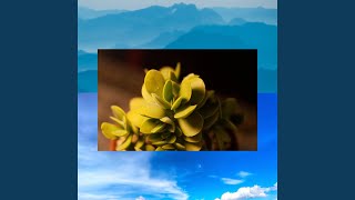 Download lagu Goyang itik mp3