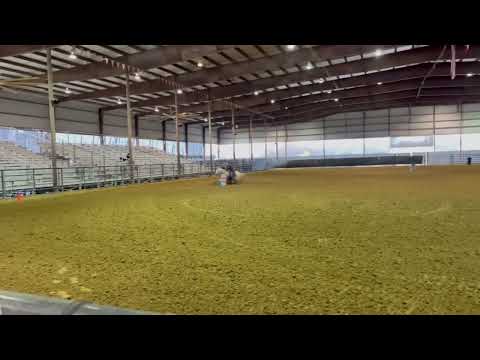 Limestone County Arena, Groesbeck, TX Arena Record - Jessica Anderson 15.928 Justa DTF Frenchman