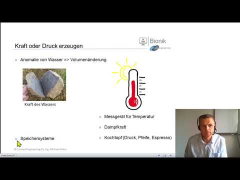 Bionik-Die Natur bietet zahlreiche geniale Ideen u.Lösungen, die sich in der Praxis bestens bewähren