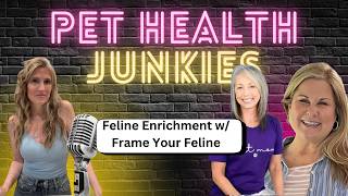 Creating a Cat‑Friendly Home with Frame Your Feline