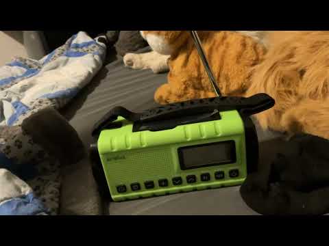 Extreme FM DX Event: 89.4 MHz BBC 2, United Kingdom 