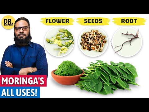 "Moringa" Ke TAMAM Fawaid! Moringa Powder Benefits | Sohanjna | Dr. Ibrahim