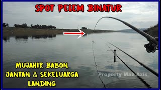 Download lagu Mancing Di Spot Pelem Binatur WKO - Mujahir Babon dan Jantan Sekeluarga Semua Ngumpul 😍 mp3