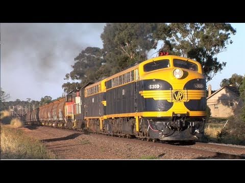 S303-B74-T357-Y145 Maryborough  Sat 09/01/10