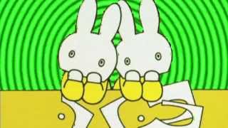 Miffy x KASHIWA daisuke - Do Re Me?