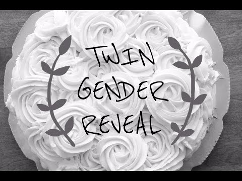 2014.04.15 | Twin Gender Reveal!